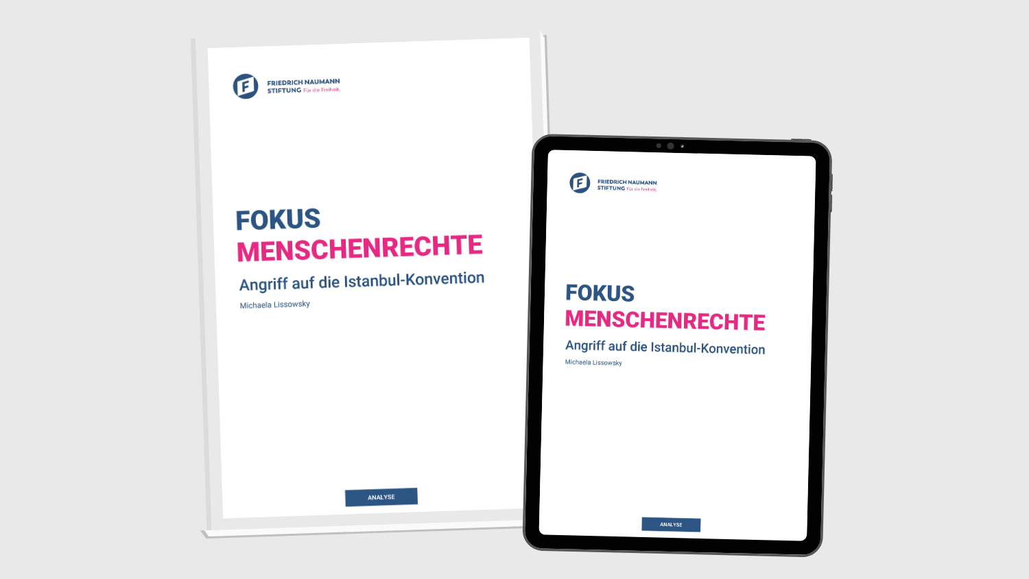 Publikation Gewalt gegen Frauen