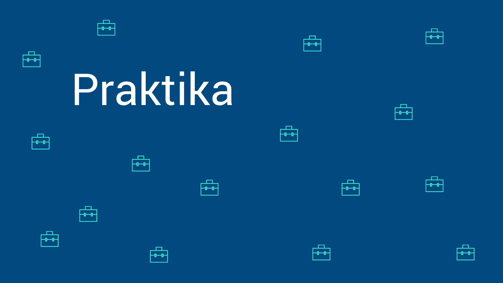 Internships Praktika MENA