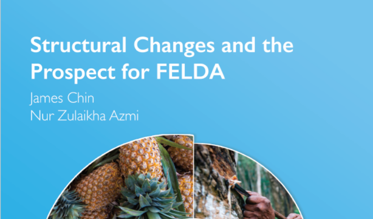 Structural Changes and the Prospect for FELDA 