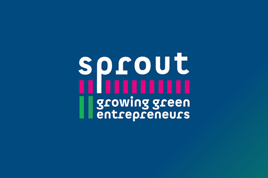 sprout