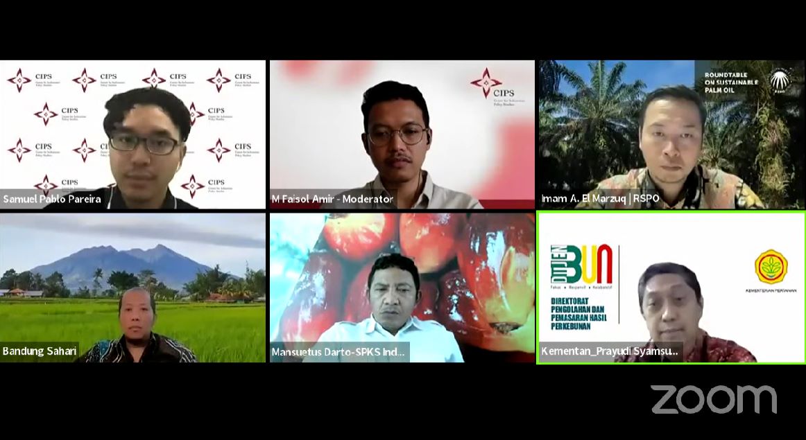 Diskusi Makalah Kebijakan CIPS