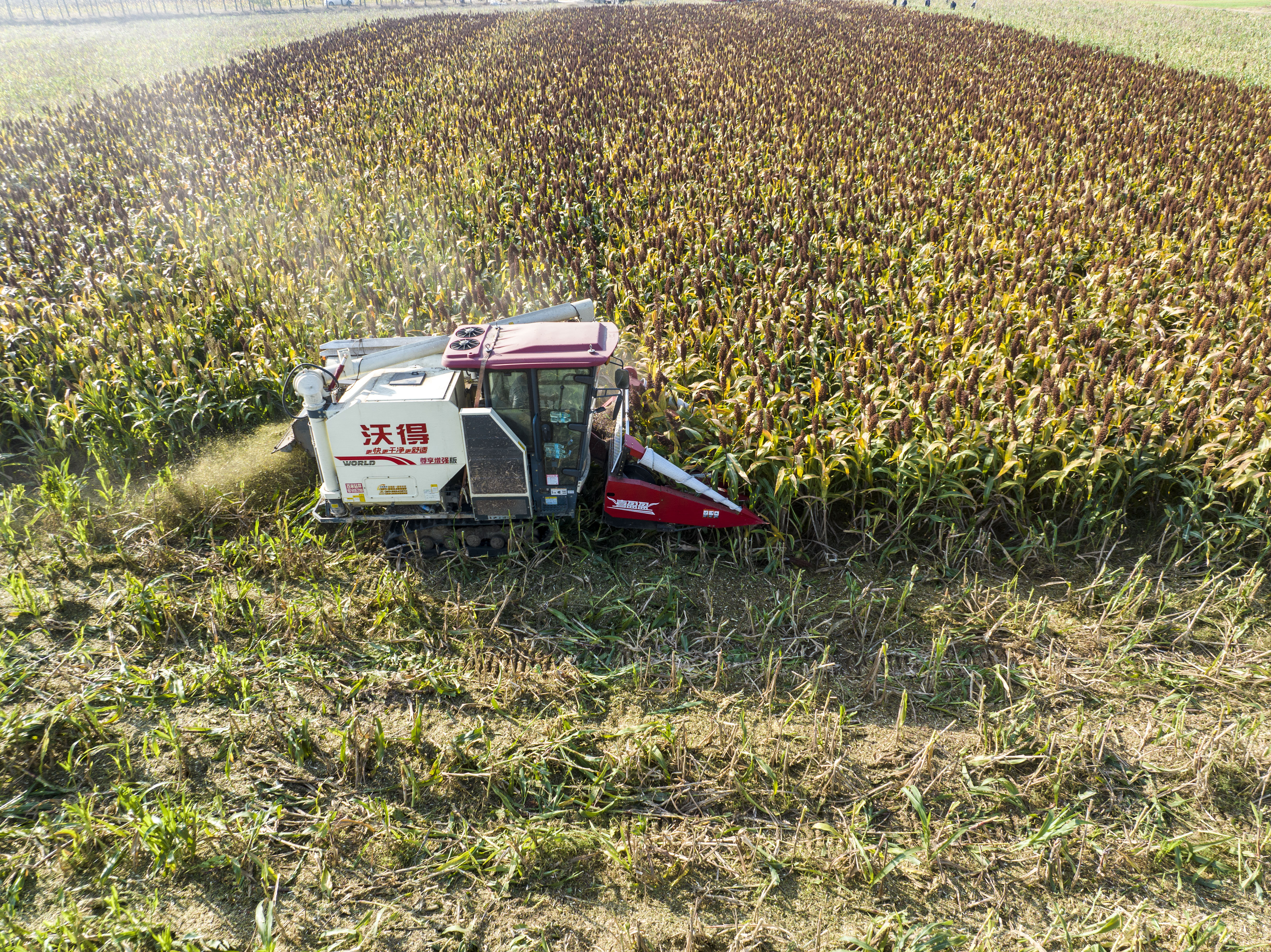 China Landwirtschaft