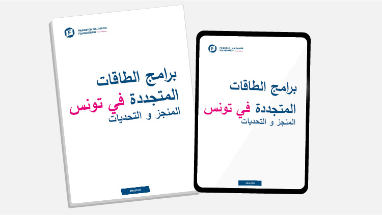 برامج الطاقات المتجددة في تونس المنجز والتحديات