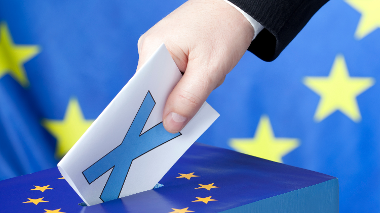 South Asian Perspective