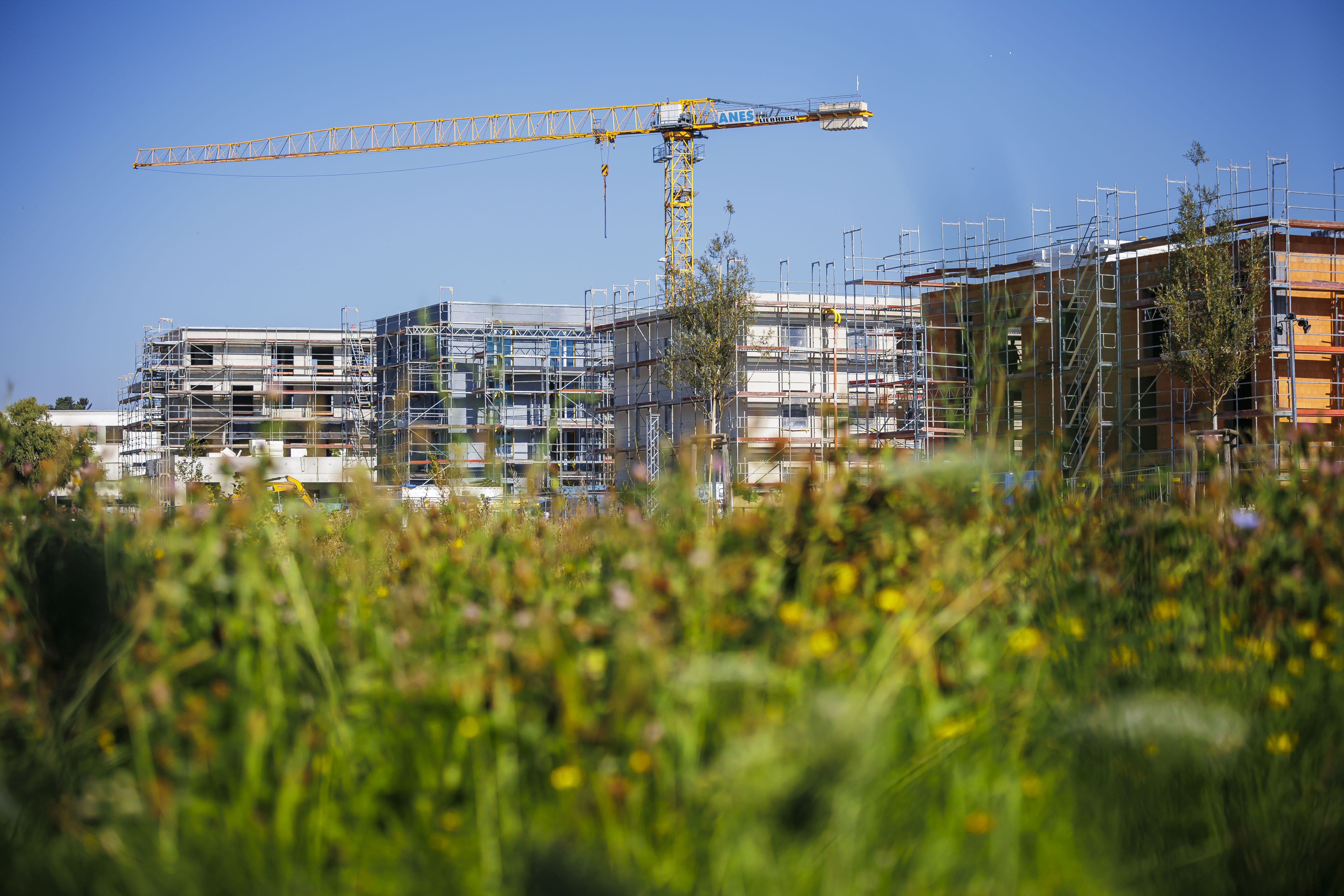 Immer mehr Menschen wollen in die Stadt. Doch die Städte machen es den Deutschen nicht einfach. Von Jahr zu Jahr wird es schwieriger, Wohnraum zu finden. 