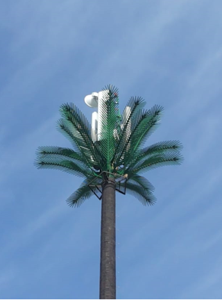 Palm tree telecom tower