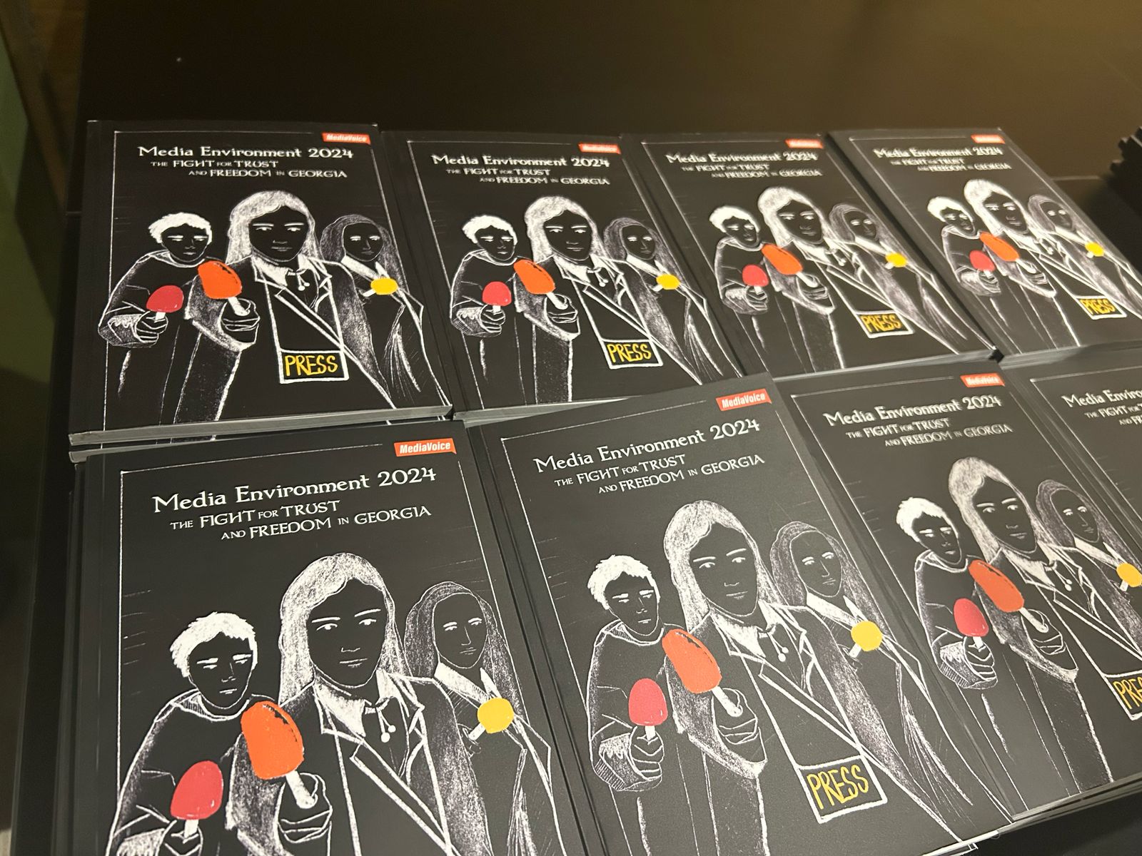 Media Enviroment Study 2024