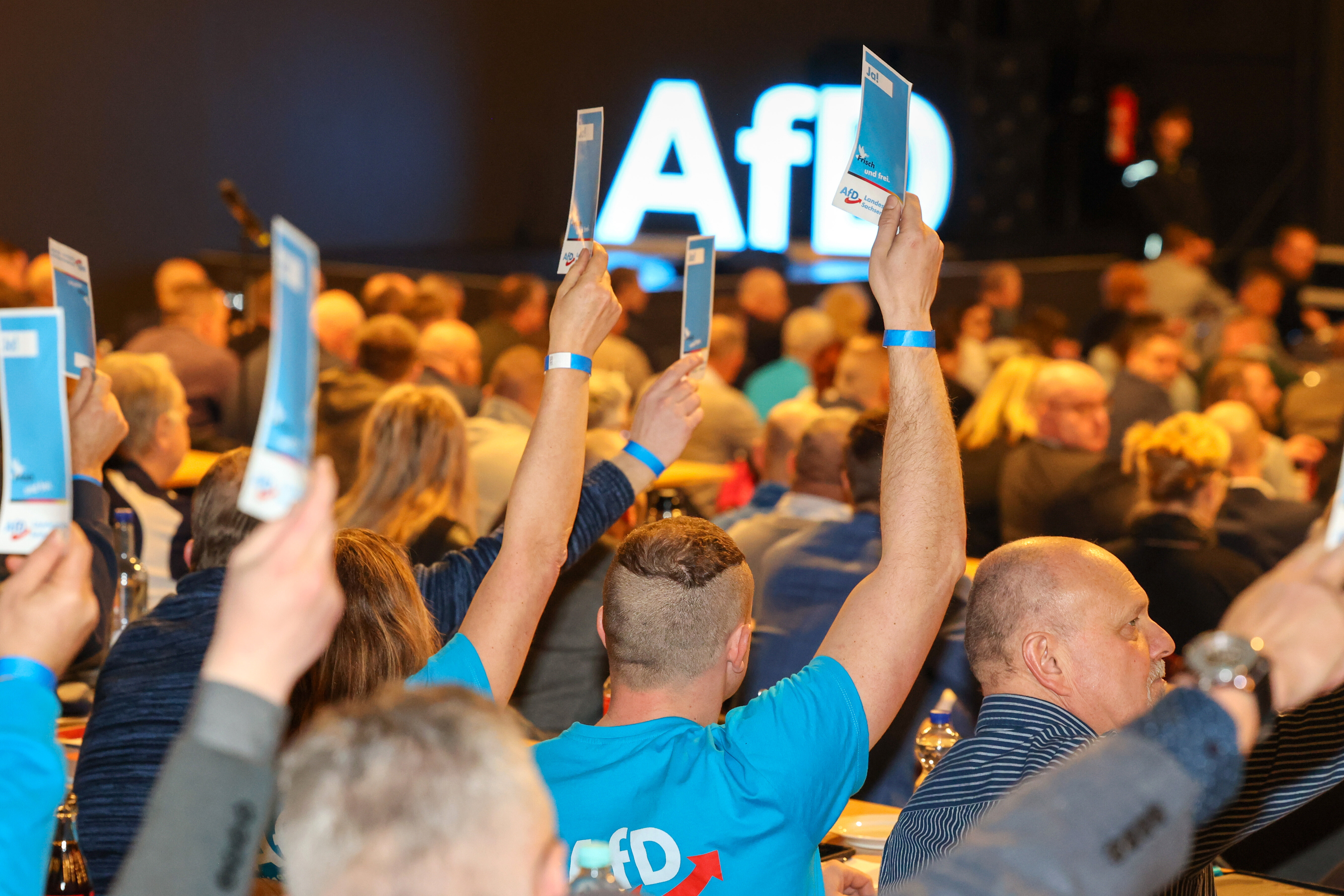 Delegierte stimmen beim Landesparteitag der AfD Sachsen-Anhalt 