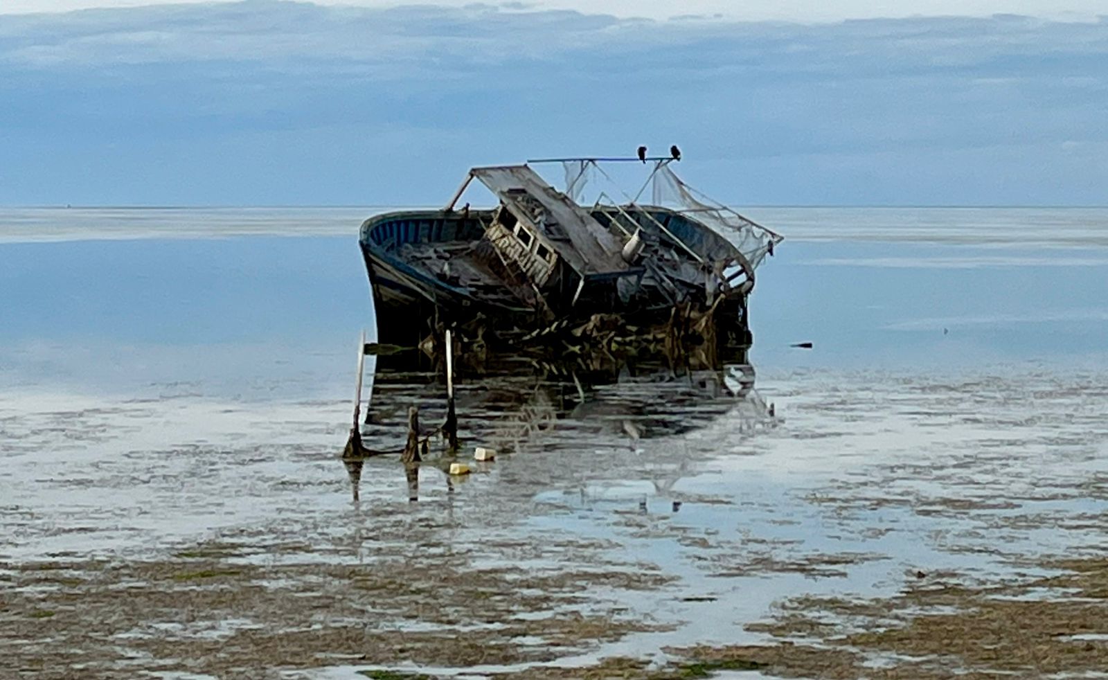 The challenges of migratory flows in Tunisia