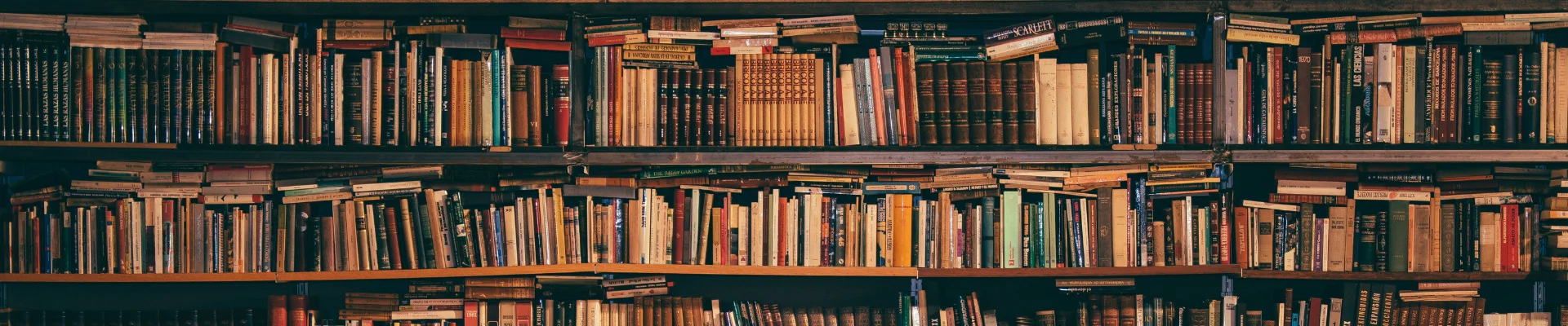 fnf malaysia publication 