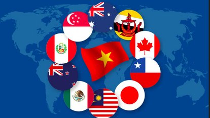 Vietnam &amp; CPTPP member flags