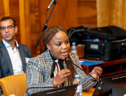 The lawyer and human rights defender Fadzayi Mahere.