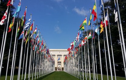 UN Flags