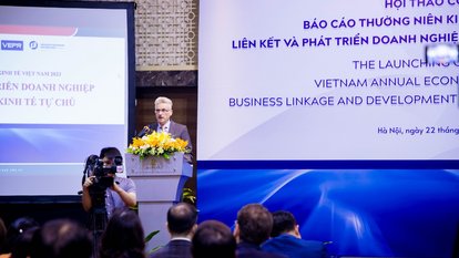 The Vietnam Annual Economic Report 2023