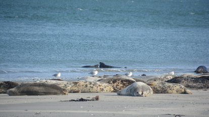 Inlandsakademie 2023