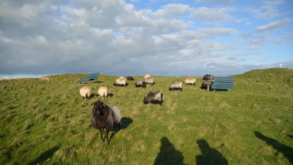 Inlandsakademie 2023