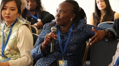 Liberal International / Friedrich Naumann Foundation