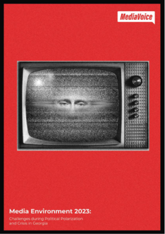 media enviroment study cover 2023