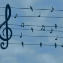 Living Freedom Songwriting Contest