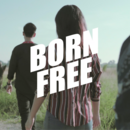 Living Freedom Born Free