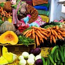 The Tunisian revolution is still celebrated by the West as the unique success story of the “Arab Spring,” However, the enthusiasm about this turning point in Tunisian history is at its lowest point among most citizens. This lack of excitement over a major historical event that marked not only Tunisia, but the region as well, is most explained by a recent poll showing that 90 % of Tunisians think that the country is going the wrong direction. But what can explain this total disappointment in the revolution a