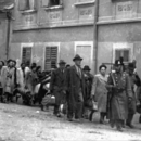 How to Counter Antisemitism? (Still image from the educational video)