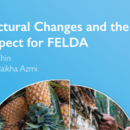 Structural Changes and the Prospect for FELDA 