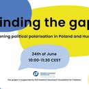 Minding the gap: Deepening polarisation in Poland and Hungary