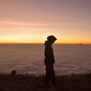 Aliko Sunawang from Unsplash 