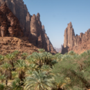 Political rebranding through environmental reforms in Saudi Arabia?