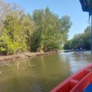 Prasae Rayong Mangrove Forest 