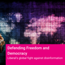 Disinformation Event