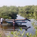 Sandspit  Wetlands, Near Liyari, Karachi Nov 2021 Birgit Lamm