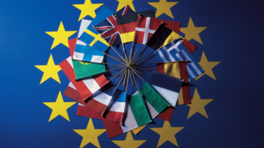 EU Flag and Member State Flags