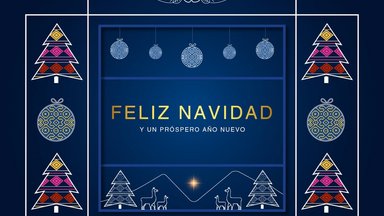navidad naumann