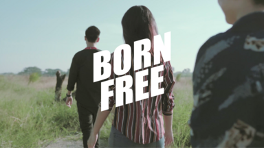 Living Freedom Born Free