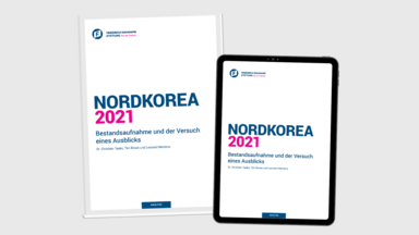 Strategiepapier Nordkorea 2021