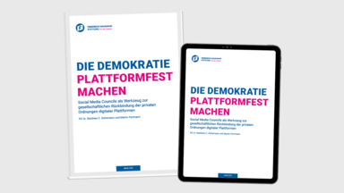 Publikation Plattformräte