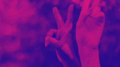 Code of Conduct - Leitprinzipien