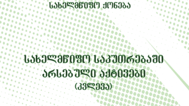 State Wealth Resaerch Title in Georgian