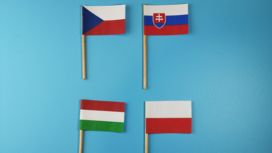 visegrad flags