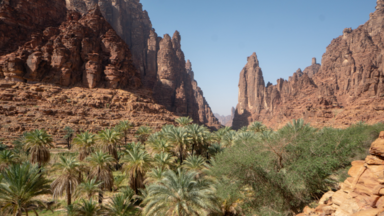 Political rebranding through environmental reforms in Saudi Arabia?