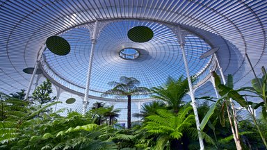 Das "Palmhouse" im Botanischen Garten Glasgow