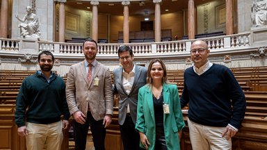 Delegation strategic triangle