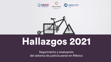 Hallazgos logo 2021