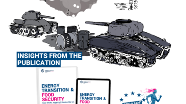 Insights from the Publication