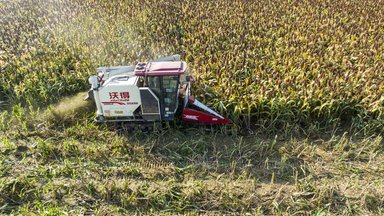 China Landwirtschaft