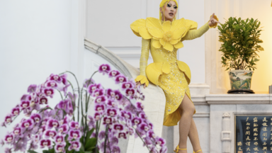 Nymphia Wind at Taiwan Presidential Office Building 