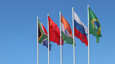 BRICS Flags
