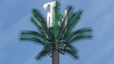 Palm tree telecom tower